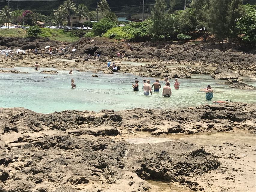 Oahu: Waimea Falls & North Shore Swim With Turtles Beach Day - North Shore Exploration: Must-See Spots