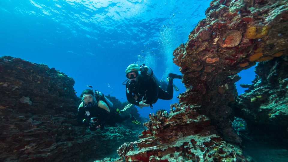 Oahu: Wreck & Reef Scuba Dive for Certified Divers - Scuba Diving Experience