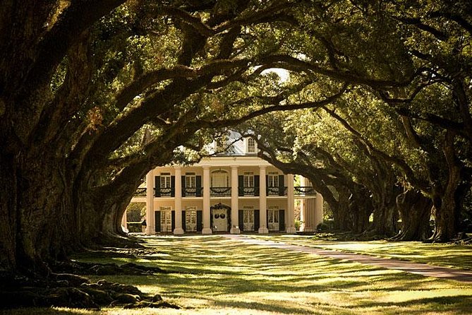 Oak Alley Plantation and Small Airboat Tour From New Orleans - Restrictions and Requirements