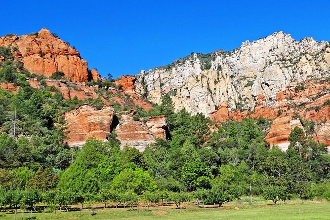 Oak Creek Canyon Jeep Tour From Sedona - Dog Policy and Gratuities