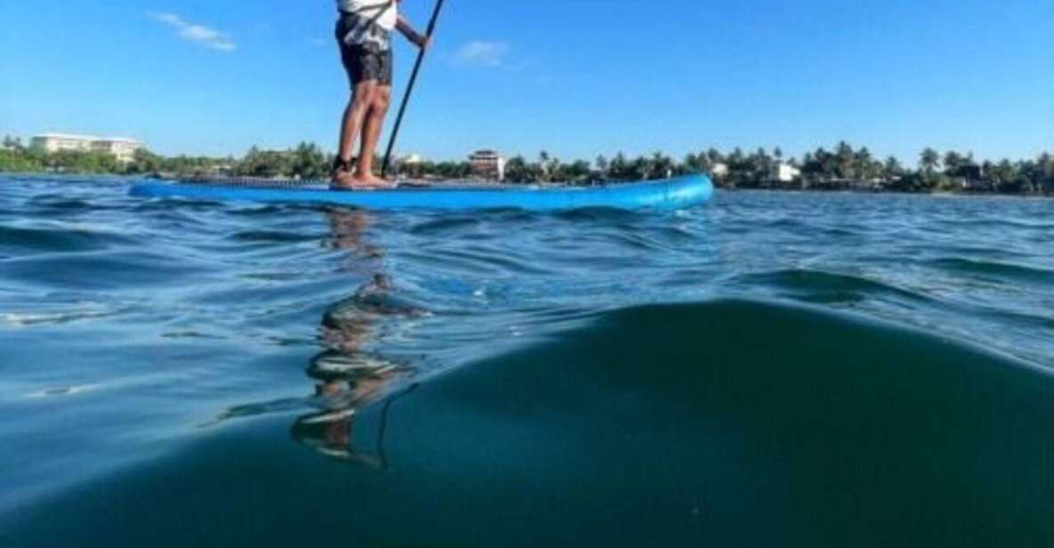 Ocean Paddle Boarding in Galle - Activity Highlights