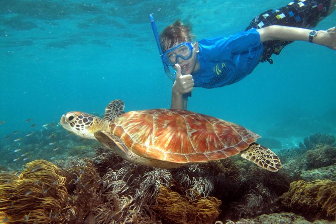 Ocean Spirit Sail to Michaelmas Cay Snorkel or Dive, From Cairns - Tour Overview and Inclusions