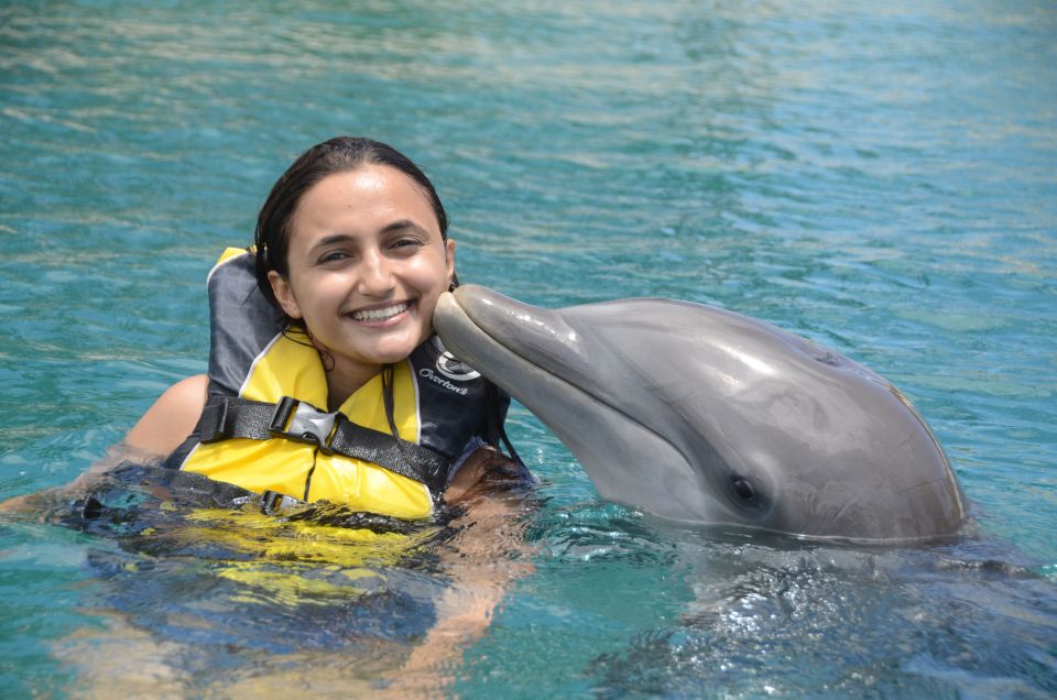 Ocean World Dolphin Swim & Sea Lion Combo From Puerto Plata - Experience Highlights