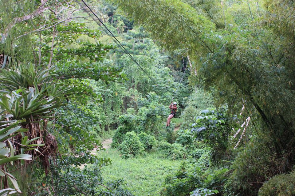 Ocho Rios: White River Jungle Zipline & Blue Hole Experience - Activity Inclusions