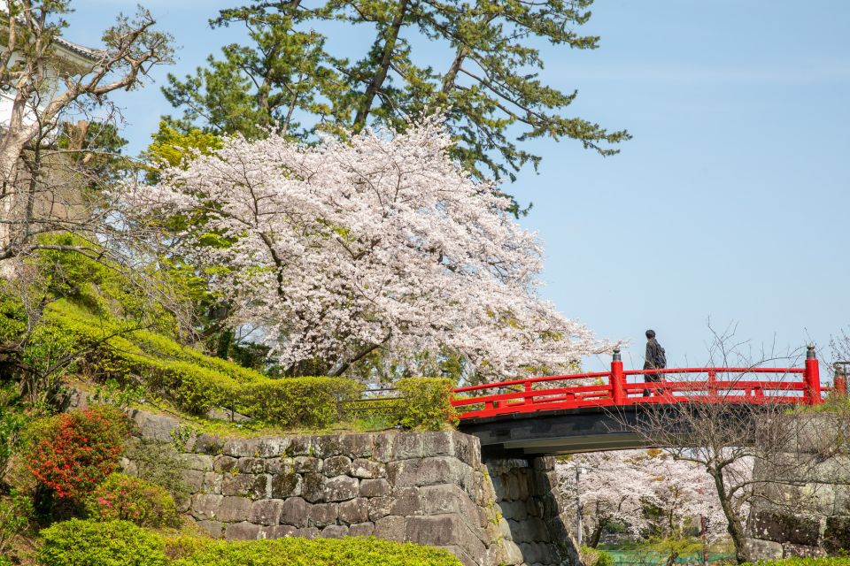 Odawara: Odawara Castle Tenshukaku Entrance Ticket - Experience Highlights