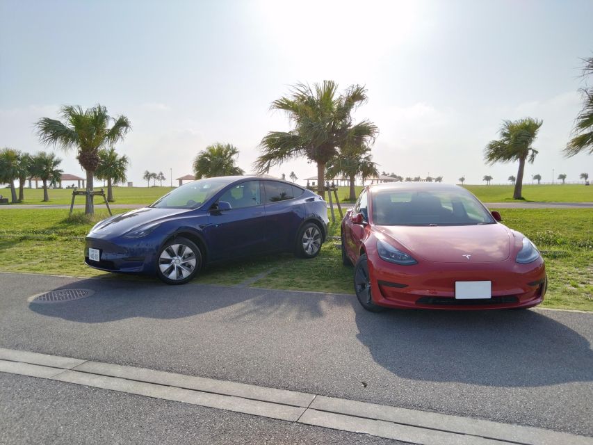 Okinawa Car Rental With Tesla - Cancellation Policy and Booking Process