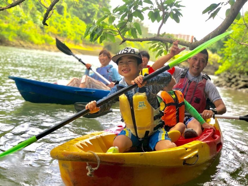 Okinawa: Mangrove Kayaking Tour - Experience Highlights