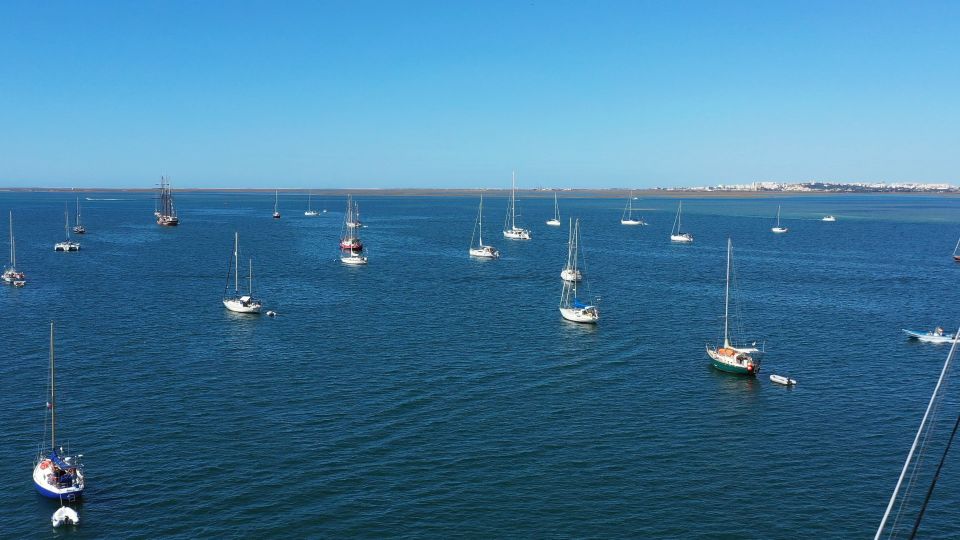 Olhão: Ria Formosa Boat Cruise to Armona and Culatra - Customer Reviews