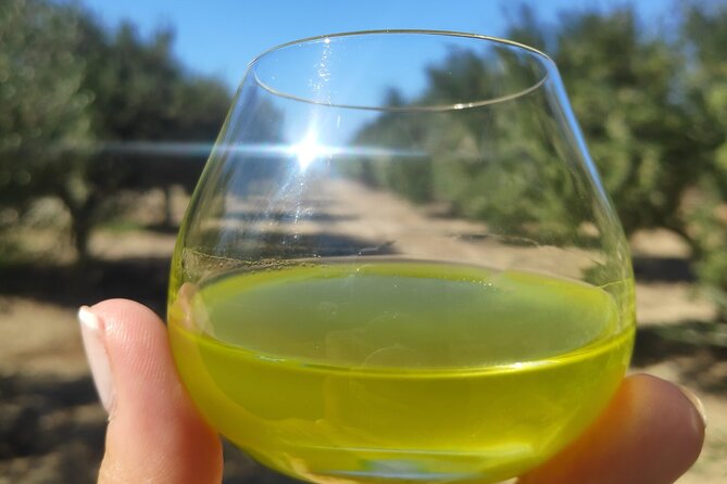 Olive Oil Tasting at the Mykonian Farm - Tasting Experience