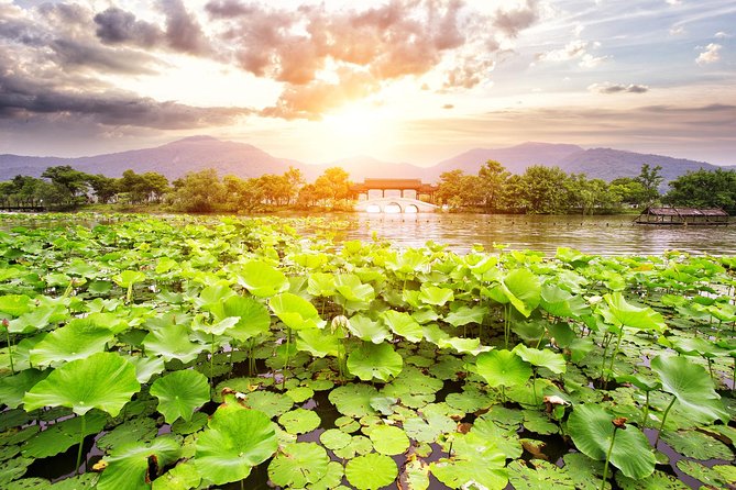 One-Day Hangzhou Dragon Well Tea Culture & West Lake Private Tour - Inclusions and Logistics