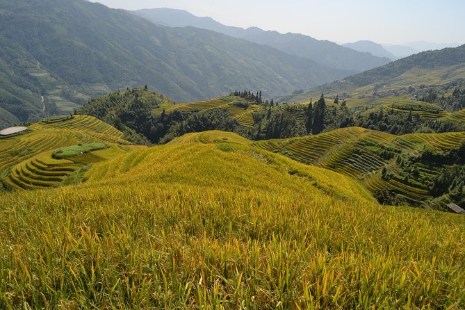 One Day Private Longshen Rice Terraces Tour Including Lunch - Itinerary Highlights