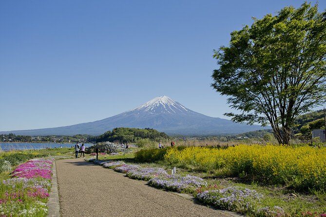 One Day Private Tour of Mt Fuji With English Speaking Driver - Potential Delays and Additional Charges