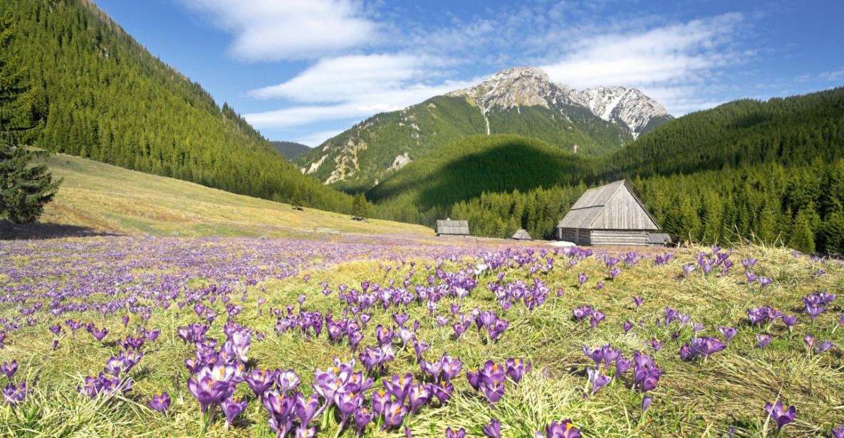 One Day Tour to Zakopane Tatra Mountains From Krakow - Itinerary Overview