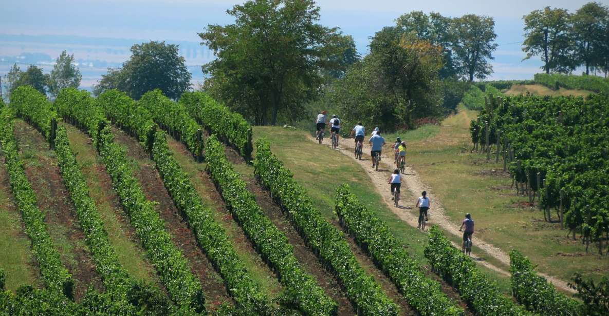 One Day Wine Route by Bike - Key Points