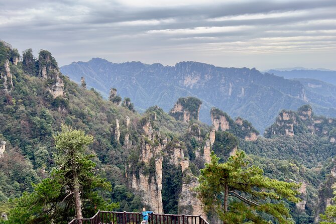 One Day Zhangjiajie Tour to Avatar Mountain and Glass Bridge - Reviews and Ratings