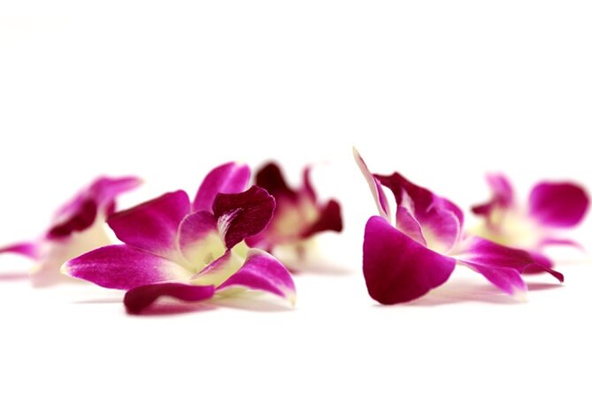 Orchid Airport Lei Greeting (Maui, Kahului Airport, OGG) - Viator Help Center Assistance