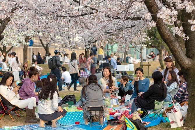 Osaka Cherry Blossom Tour With a Local: 100% Personalized Private - Logistics and Meeting Details