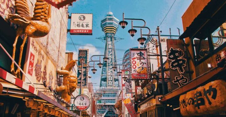 Osaka: Private Customizable Day Tour - Customizable Experience