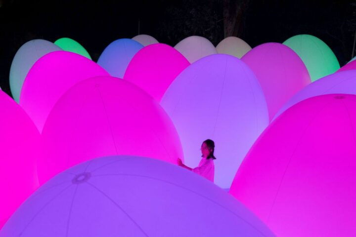 Osaka: Teamlab Botanical Garden Entry Ticket - Garden Experience