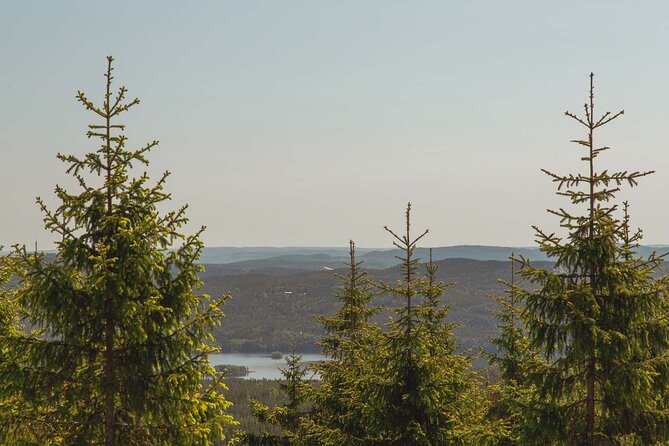 Oslo Hiking - Private Great Lake Tour - Cancellation Policy Information