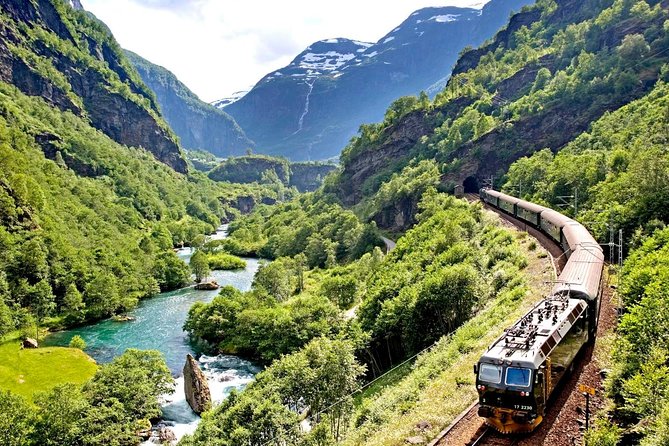 Oslo To Sognefjord Private Full Day Roundtrip Including Flam Railway - Dining and Refreshments
