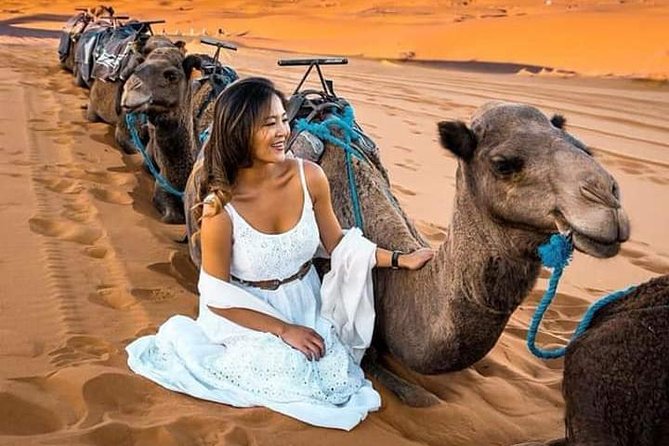 Overnight Sahara Tour From Fez With Desert Camp and Camel Ride (Mar ) - Inclusions and Exclusions