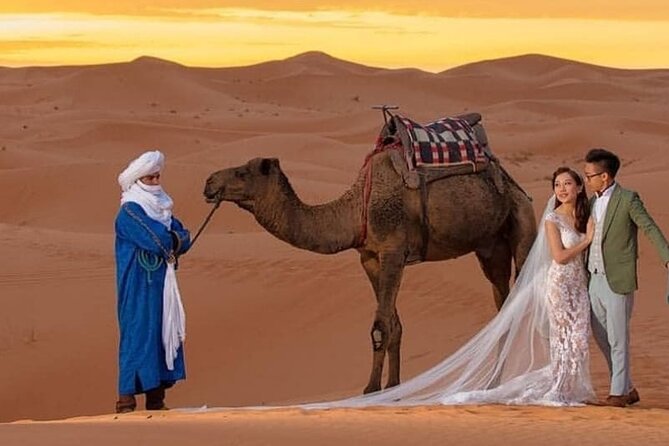 Overnight Stay in Desert Camp & Camel Trekking in the Sahara - Experience Highlights