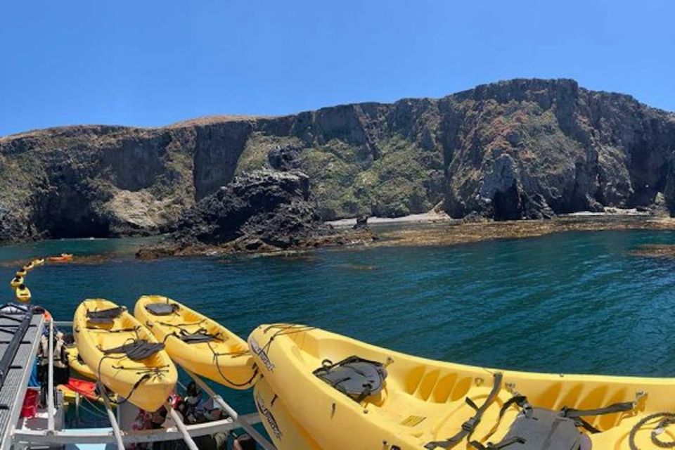 Oxnard: Anacapa Island Sea Cave Kayaking Day Tour - Experience Highlights