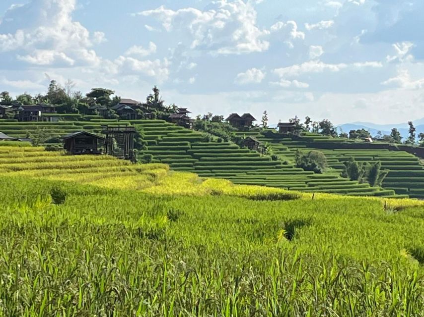 Pa Pong Piang Rice Terraces & Doi Inthanon National Park - Experience Highlights
