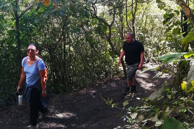 Pacaya Volcano Tour and Hot Springs From Guatemala City - Booking Information