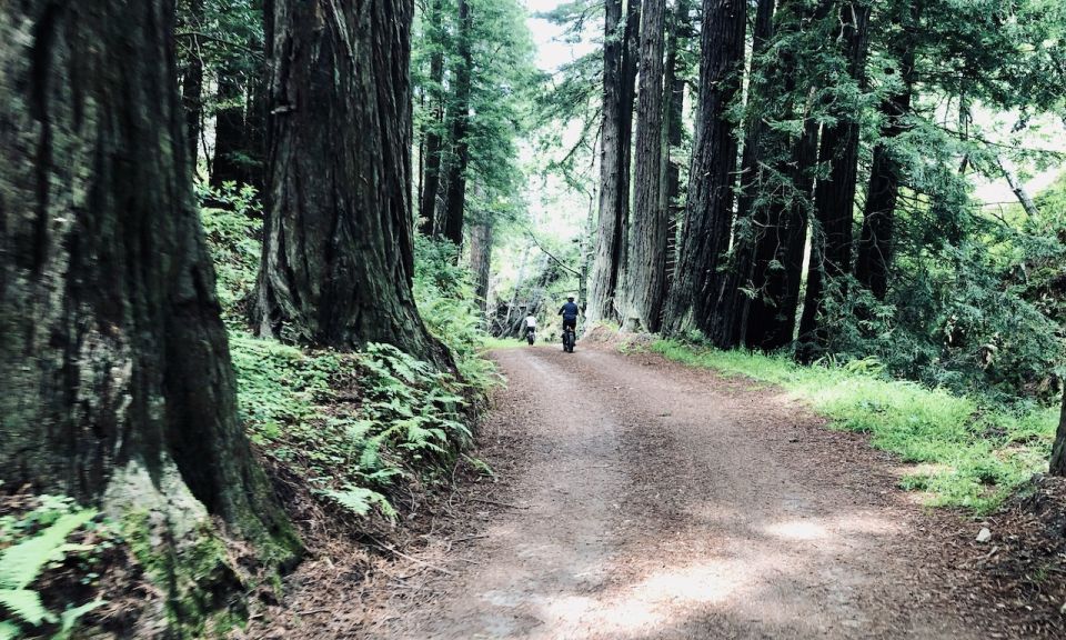 Pacific Grove: Old Coast Road E-Bike Tour - Location and Points of Interest