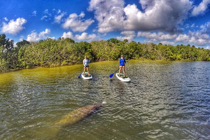 Paddle Boarding Eco Adventure Tour Jupiter Florida - Singer Island - Booking and Cancellation Policies