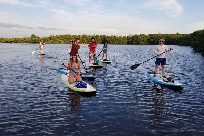 Paddleboard Tour Through Lido Mangrove Tunnels - Traveler Reviews