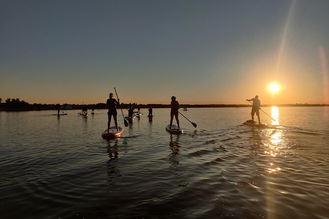 Paddleboarding Experience in Malahide - Cancellation Policy