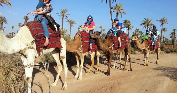 Palm Grove Quad Bike and Camel Ride Tour - Traveler Experiences and Reviews