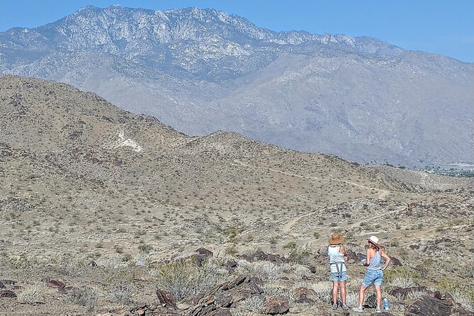 Palm Springs Hike to an Oasis and Amazing Desert Views - Booking Information