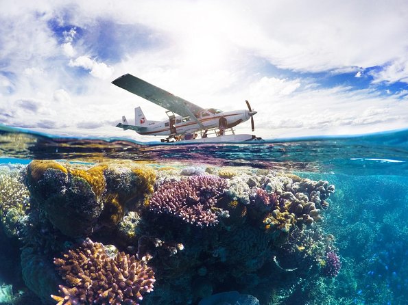 Panorama: the Ultimate Seaplane Tour - Great Barrier Reef & Whitehaven Beach - Booking Information