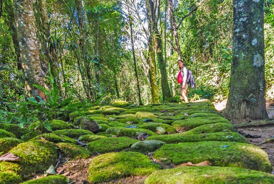 Paraty: Gold Trail Rainforest Hiking Tour - Experience Highlights