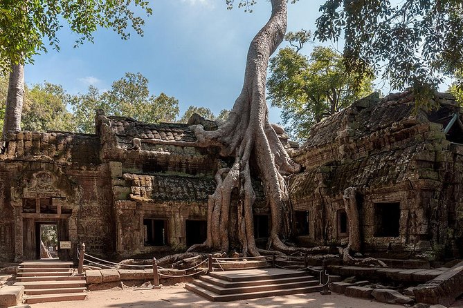 Peaceful Angkor Wat Private Day Tour - Customer Reviews