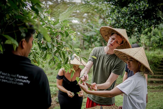 Pemulan Bali Farm Cooking School in Ubud - Culinary Program Overview