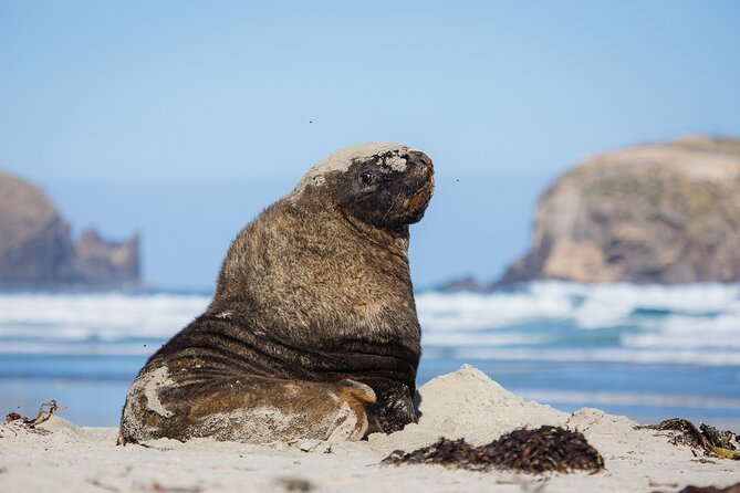 Peninsula Encounters Wildlife Cruise - Meeting and Pickup Details