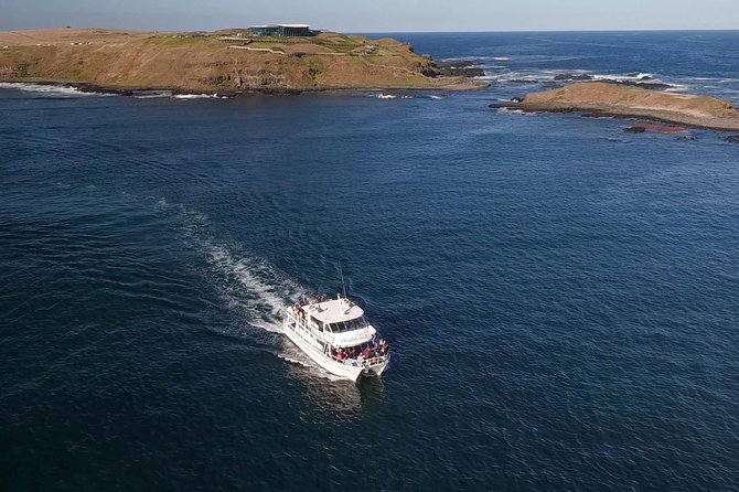 Phillip Island Seal-Watching Cruise - Cancellation Policy