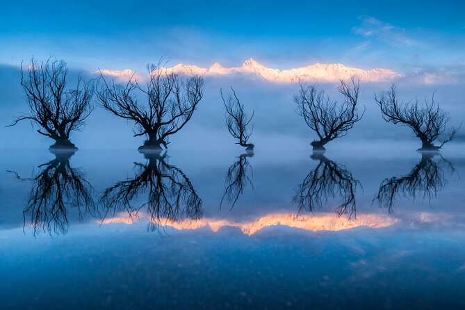 Photography Tour From Queenstown to Glenorchy - 1/2 Day - Experience Highlights