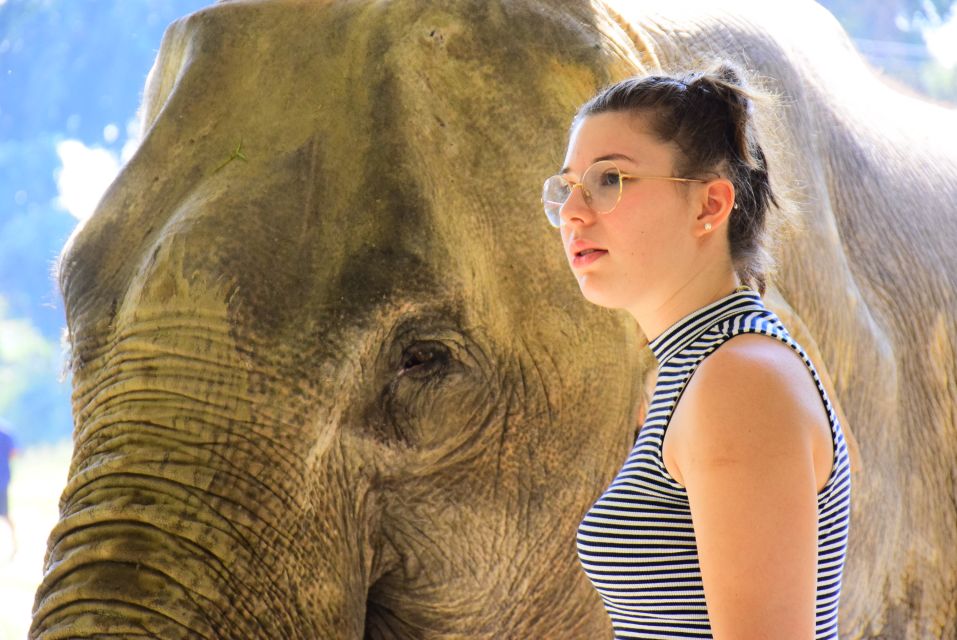 Phuket: Elephant Feeding Program - Booking Details