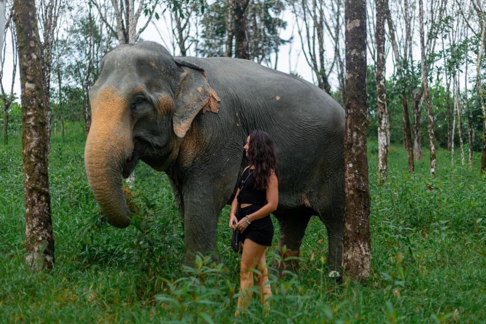 Phuket: Elephant Sanctuary Small Group Tour in Khao Lak - Activity Highlights