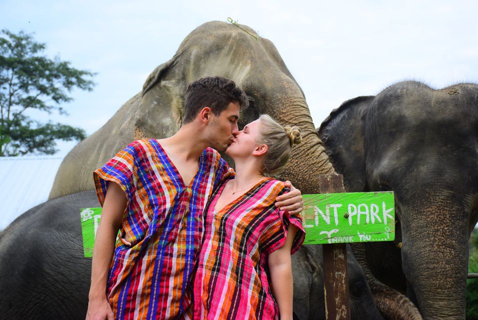 Phuket: Elephant Save & Care Program Tour - Experience Highlights