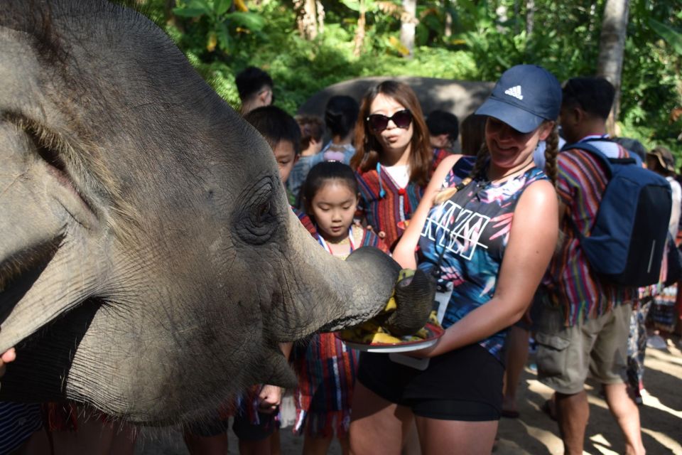 Phuket: Half Day or 2-Hour Ethical Elephant Care Sanctuary - Experience Highlights