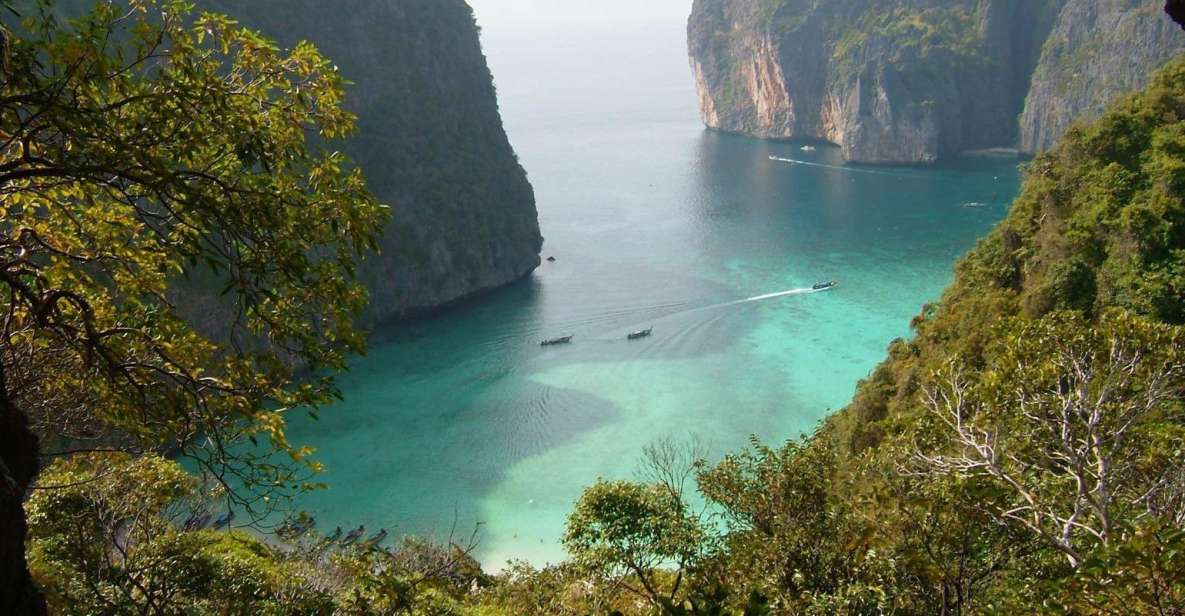 Phuket: Phi Phi Island Sunrise Group Speedboat Tour - Tour Highlights