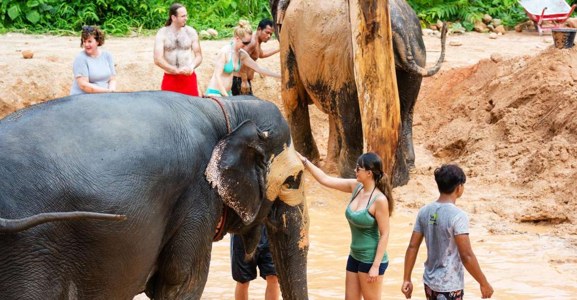 Phuket: Phuket Elephant Sanctuary, Wat Chalong & More - Elephant Sanctuary Experience