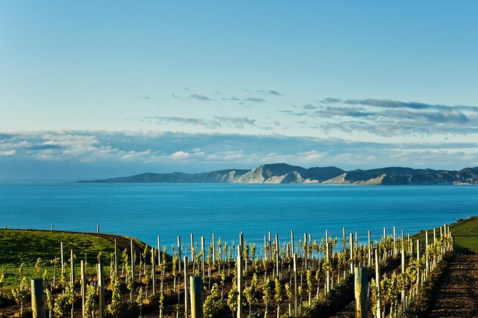 Picton CRUISE SHIP Shore Excursion Marlborough Wine Tour - Customer Reviews